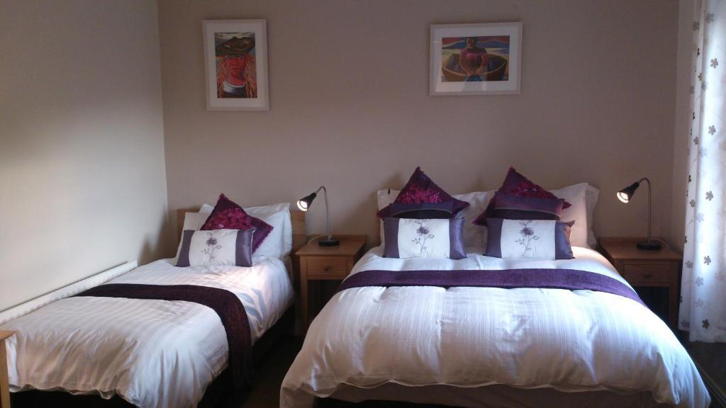 Roundstone Retreats Islandview Bed and Breakfast Værelse billede
